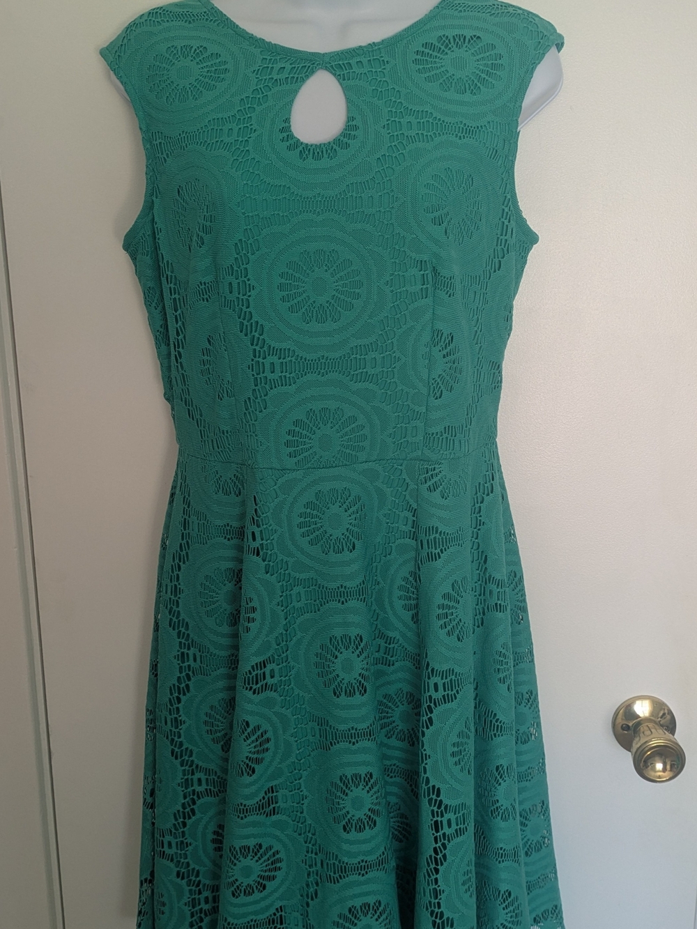 Dana Buchman Sleeveless Green Lace Fit & Flare Dress Fully Lined Women's Size 10
